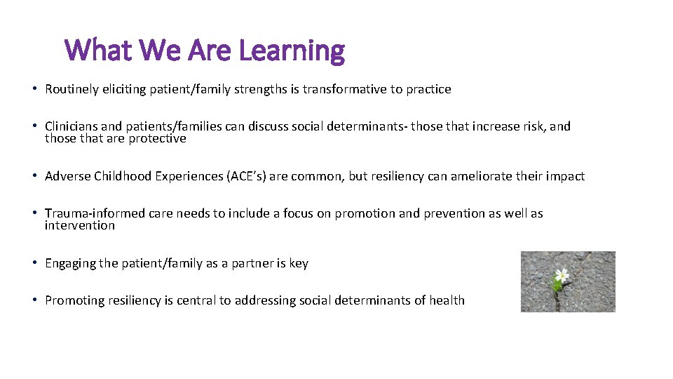 What We Are Learning • Routinely eliciting patient/family strengths is transformative to practice •