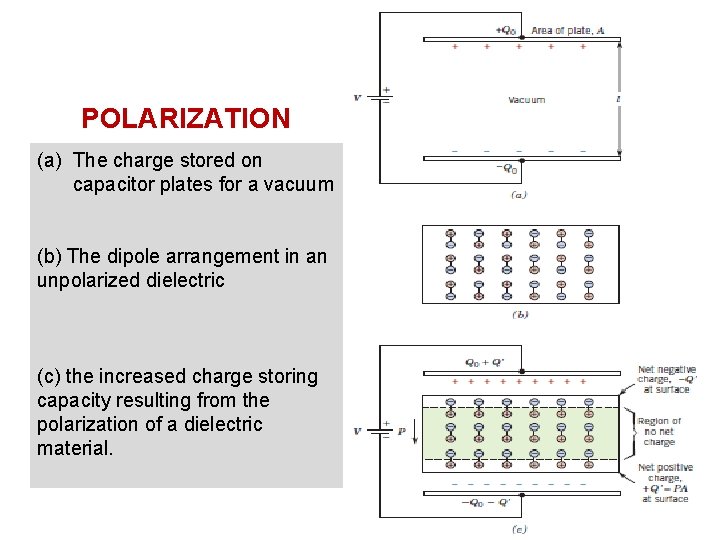 POLARIZATION (a) The charge stored on capacitor plates for a vacuum (b) The dipole