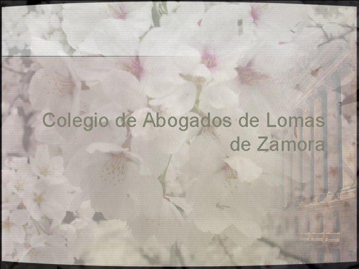 Colegio de Abogados de Lomas de Zamora 