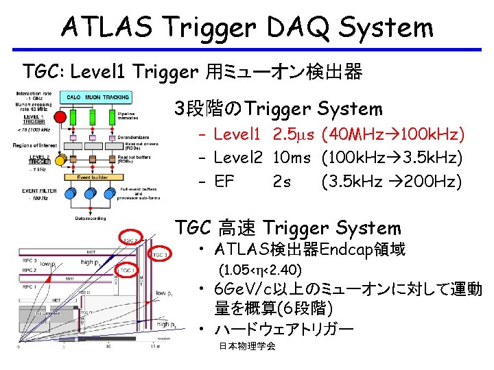ATLAS Trigger DAQ System TGC: Level 1 Trigger 用ミューオン検出器 3段階のTrigger System – Level 1