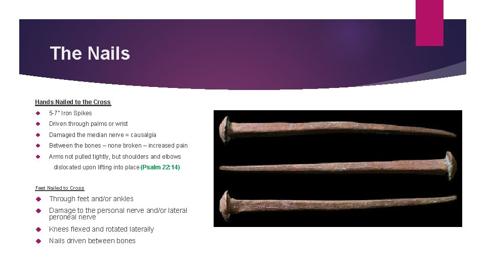 The Nails Hands Nailed to the Cross 5 -7” Iron Spikes Driven through palms