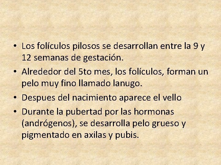  • Los folículos pilosos se desarrollan entre la 9 y 12 semanas de