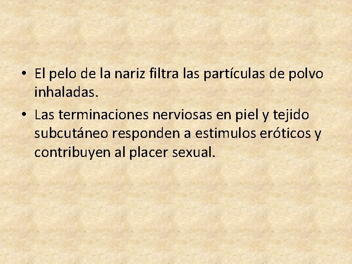  • El pelo de la nariz filtra las partículas de polvo inhaladas. •