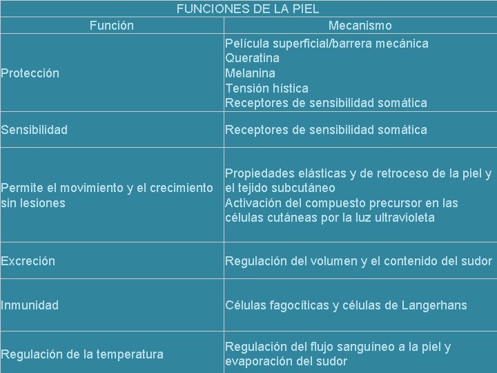 FUNCIONES DE LA PIEL Función Protección Sensibilidad Mecanismo Película superficial/barrera mecánica Queratina Melanina Tensión