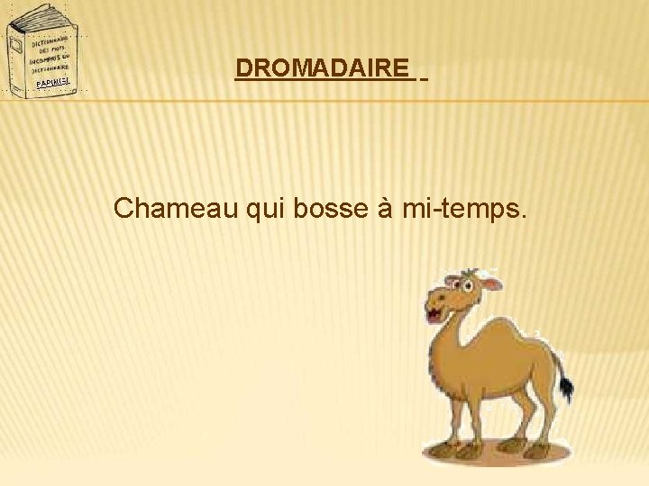 DROMADAIRE Chameau qui bosse à mi-temps. 