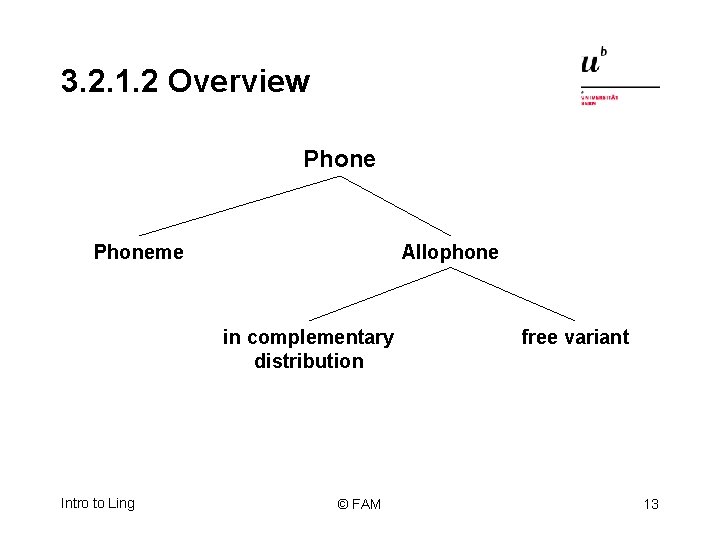 3. 2. 1. 2 Overview Phoneme Allophone in complementary distribution Intro to Ling ©