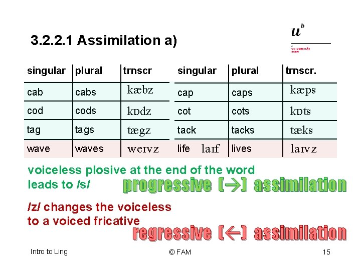 3. 2. 2. 1 Assimilation a) singular plural trnscr. cabs k bz caps k