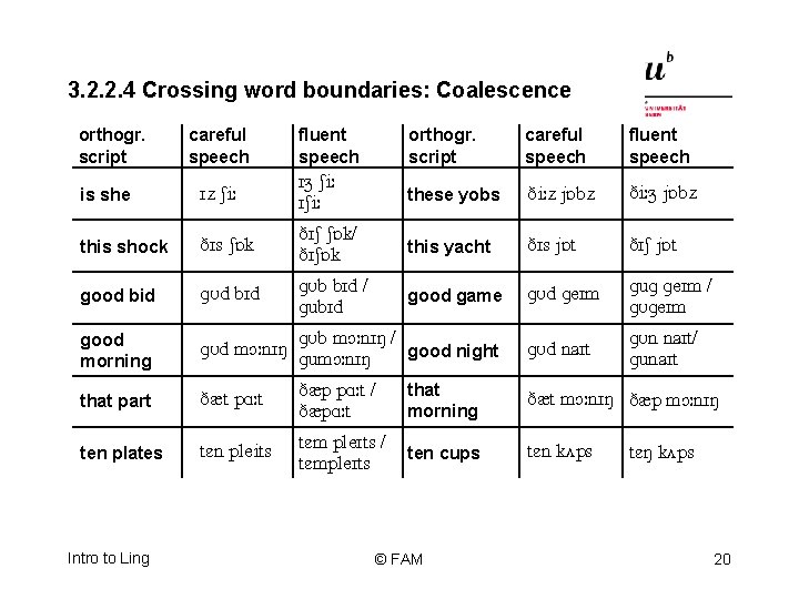 3. 2. 2. 4 Crossing word boundaries: Coalescence orthogr. script careful speech fluent speech