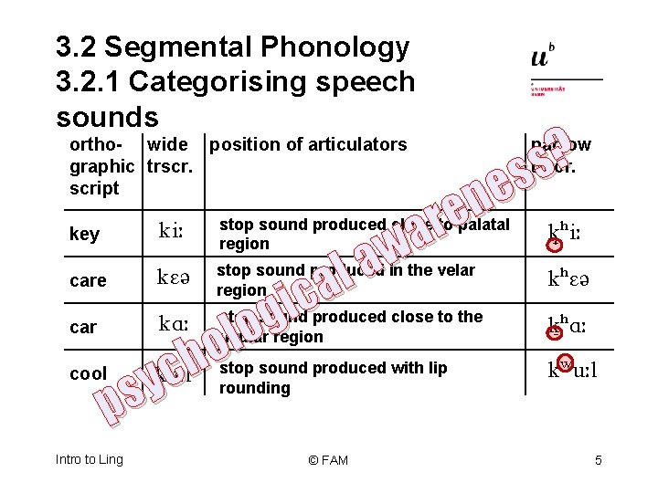 3. 2 Segmental Phonology 3. 2. 1 Categorising speech sounds ? s s e
