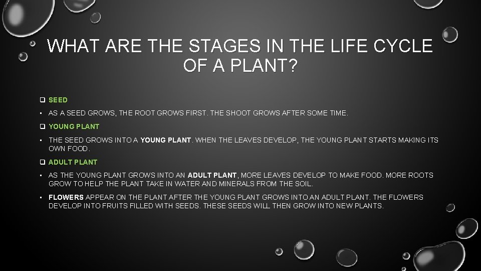 WHAT ARE THE STAGES IN THE LIFE CYCLE OF A PLANT? q SEED •