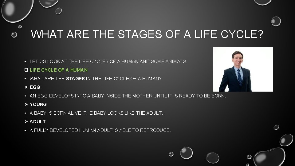 WHAT ARE THE STAGES OF A LIFE CYCLE? • LET US LOOK AT THE