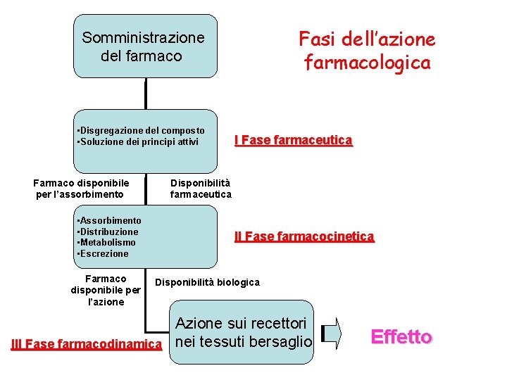 Fasi dell’azione farmacologica Somministrazione del farmaco • Disgregazione del composto • Soluzione dei principi