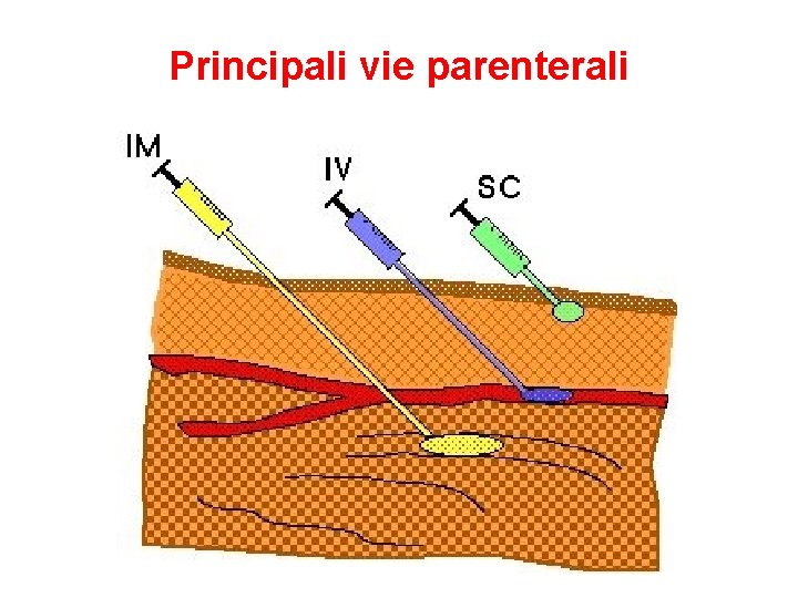 Principali vie parenterali 