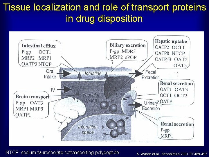 Tissue localization and role of transport proteins in drug disposition NTCP: sodium-taurocholate cotransporting polypeptide