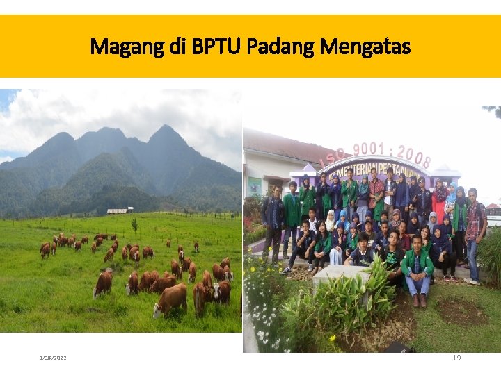 Magang di BPTU Padang Mengatas 1/18/2022 19 
