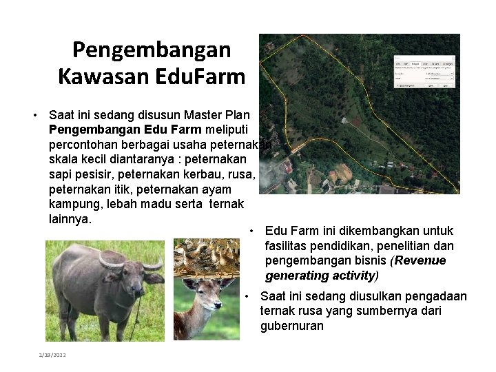 Pengembangan Kawasan Edu. Farm • Saat ini sedang disusun Master Plan Pengembangan Edu Farm