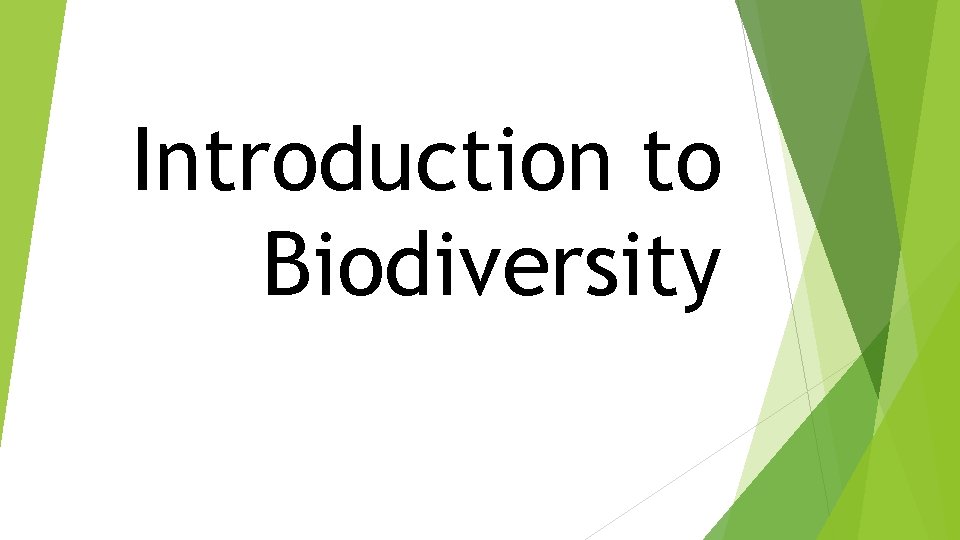 Introduction to Biodiversity 