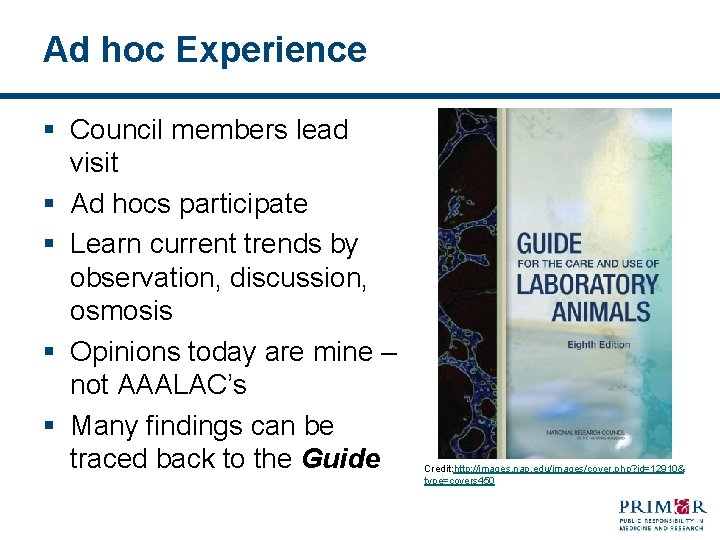 Ad hoc Experience § Council members lead visit § Ad hocs participate § Learn