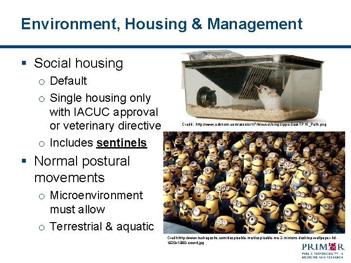 Environment, Housing & Management § Social housing o Default o Single housing only with