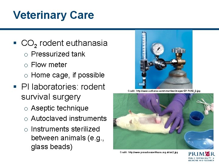 Veterinary Care § CO 2 rodent euthanasia o Pressurized tank o Flow meter o