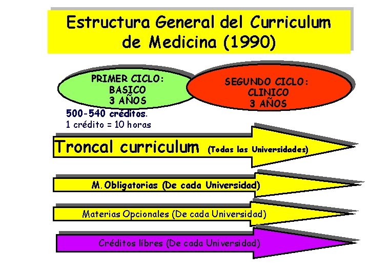 Estructura General del Curriculum de Medicina (1990) PRIMER CICLO: BASICO 3 AÑOS 500 -540