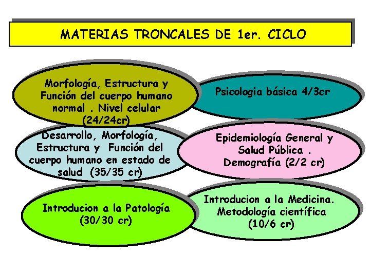 MATERIAS TRONCALES DE 1 er. CICLO Morfología, Estructura y Función del cuerpo humano normal.