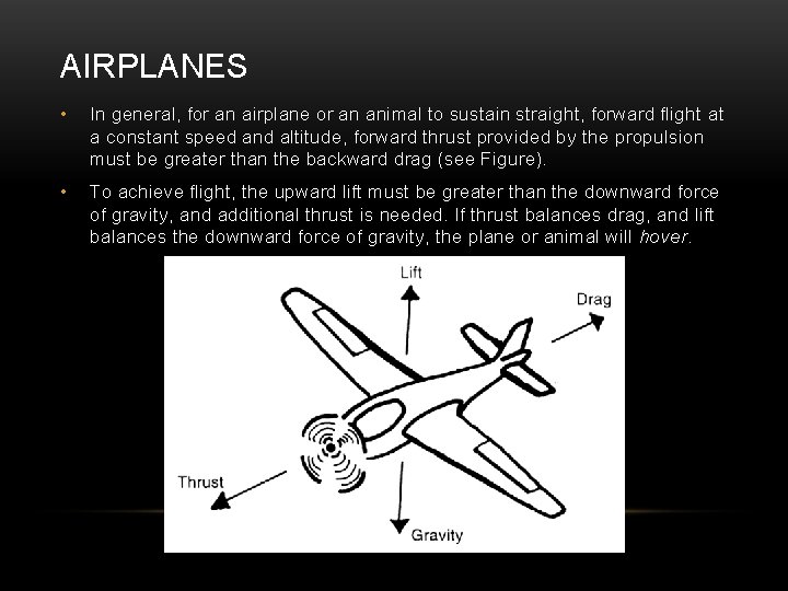 AIRPLANES • In general, for an airplane or an animal to sustain straight, forward