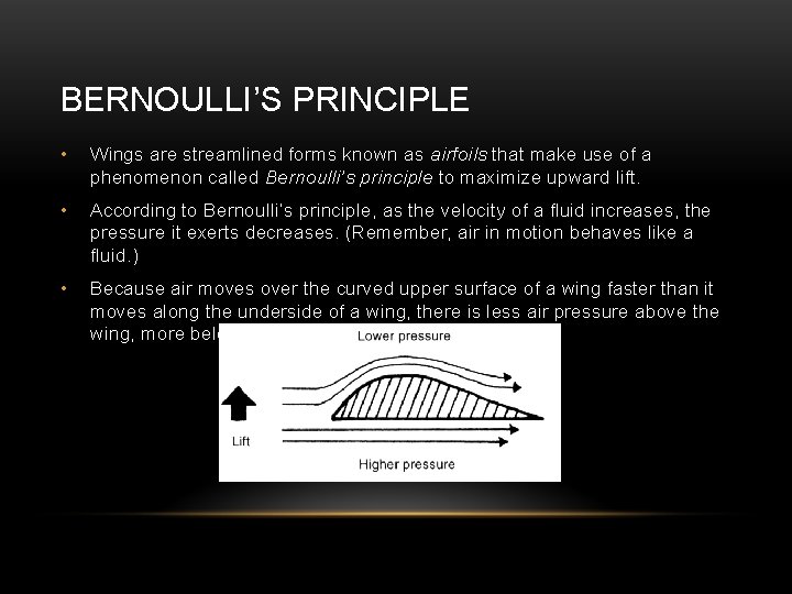 BERNOULLI’S PRINCIPLE • Wings are streamlined forms known as airfoils that make use of