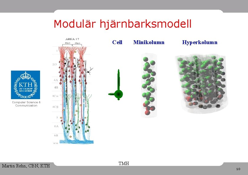 Modulär hjärnbarksmodell Cell Minikolumn Hyperkolumn Computer Science & Communication Martin Rehn, CBN, KTH TMH