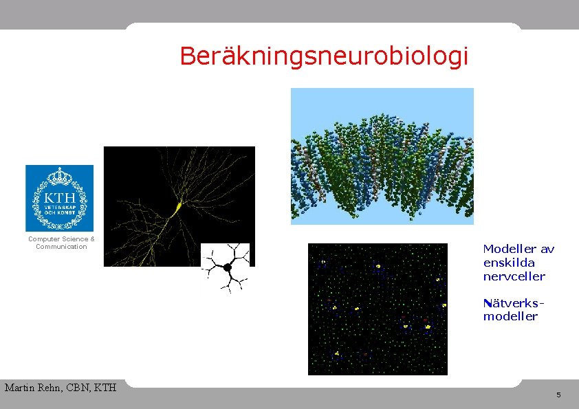 Beräkningsneurobiologi Computer Science & Communication Modeller av enskilda nervceller Nätverksmodeller Martin Rehn, CBN, KTH