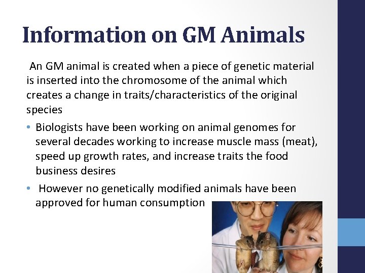 Information on GM Animals An GM animal is created when a piece of genetic