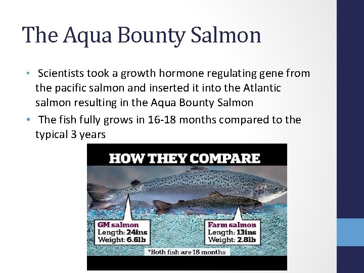 The Aqua Bounty Salmon • Scientists took a growth hormone regulating gene from the