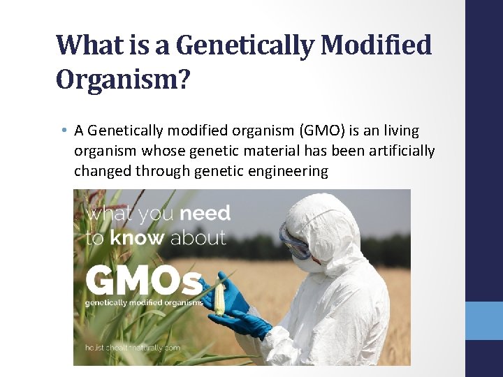 What is a Genetically Modified Organism? • A Genetically modified organism (GMO) is an