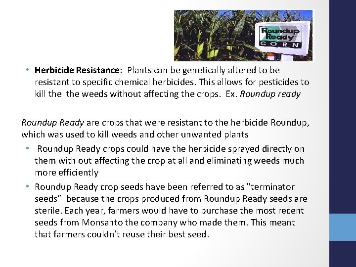  • Herbicide Resistance: Plants can be genetically altered to be resistant to specific