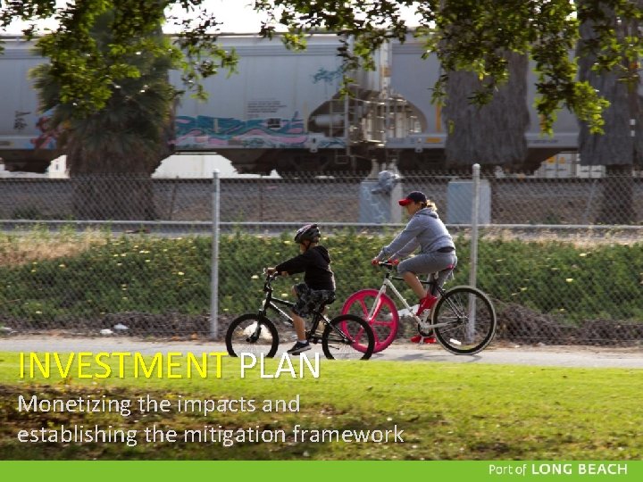 INVESTMENT PLAN Monetizing the impacts and establishing the mitigation framework INVESTMENT PLAN Monetizing the impacts and establishing the mitigation framework