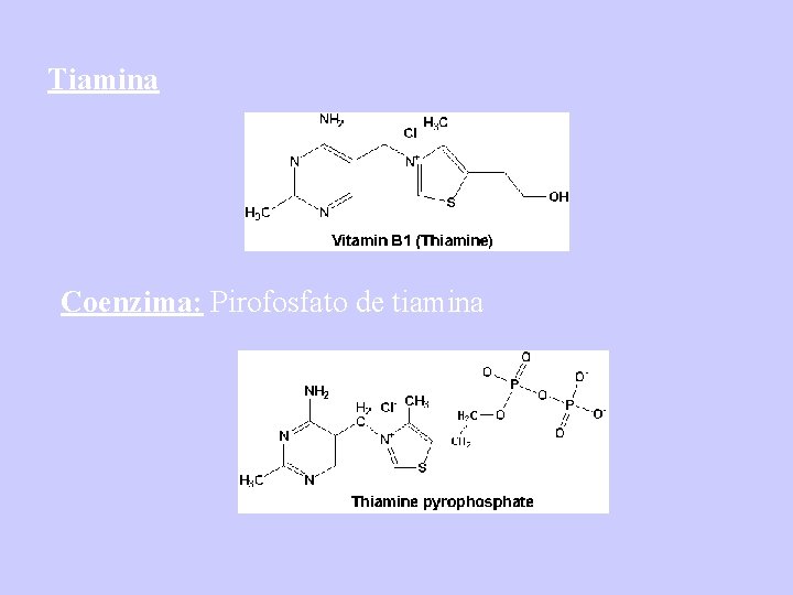 Tiamina Coenzima: Pirofosfato de tiamina 