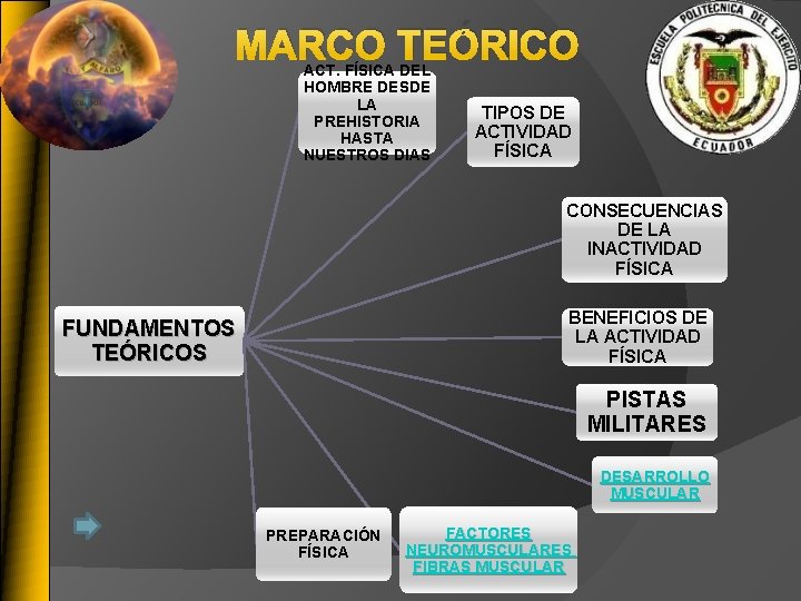 MARCO TEÓRICO ACT. FÍSICA DEL HOMBRE DESDE LA PREHISTORIA HASTA NUESTROS DIAS TIPOS DE