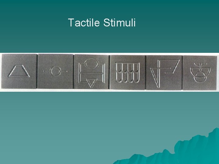 Tactile Stimuli 
