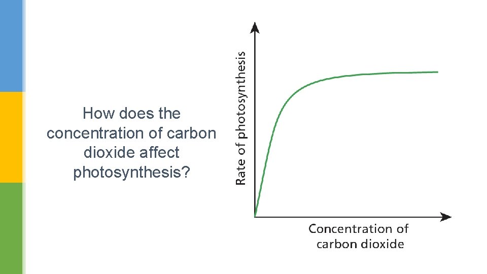 How does the concentration of carbon dioxide affect photosynthesis? 