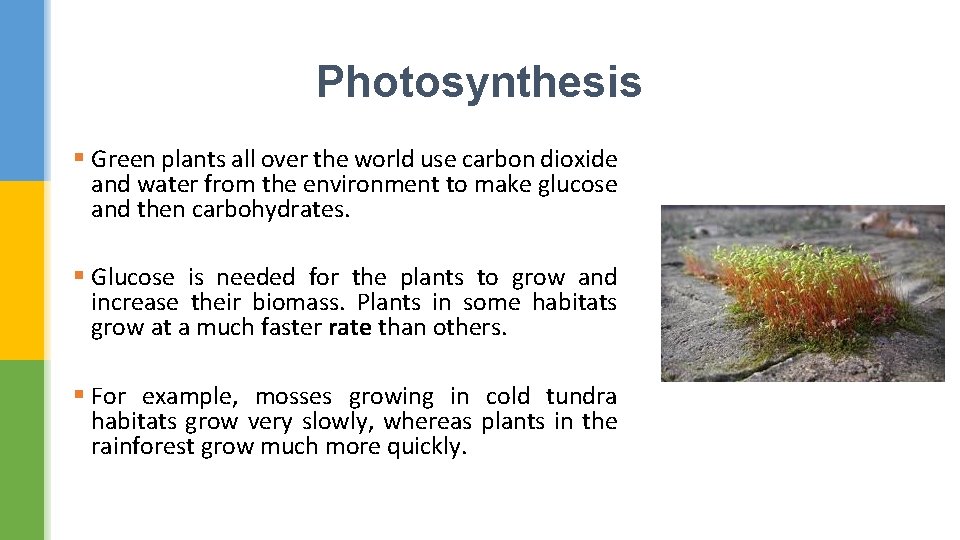 Photosynthesis § Green plants all over the world use carbon dioxide and water from