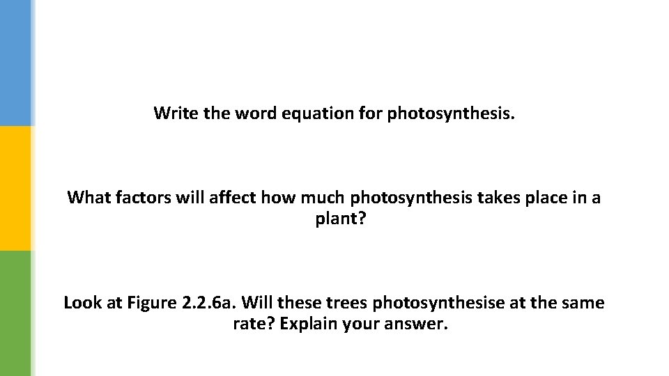 Write the word equation for photosynthesis. What factors will affect how much photosynthesis takes