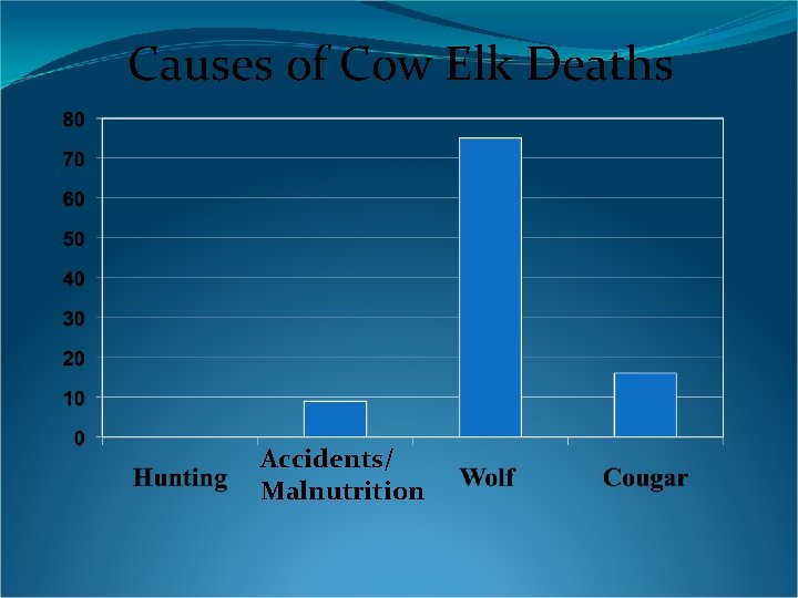 Causes of Cow Elk Deaths Accidents/ Malnutrition 