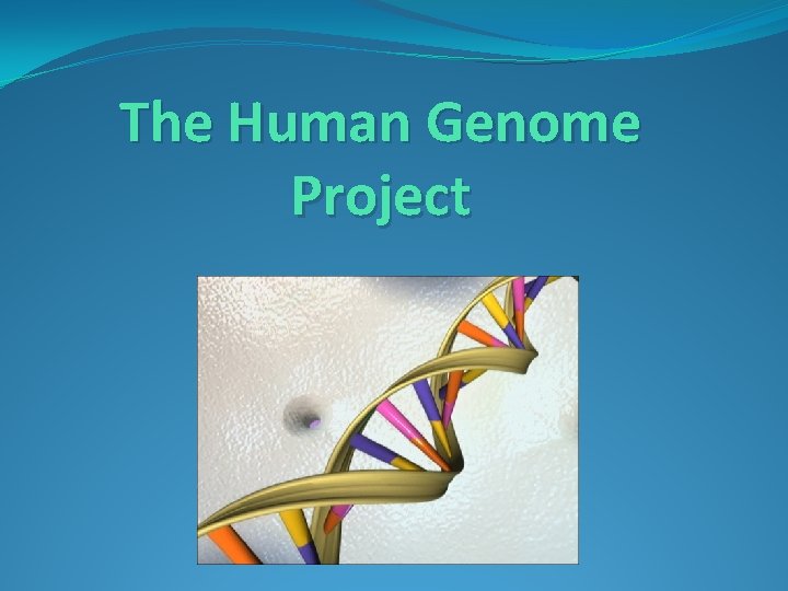 The Human Genome Project 