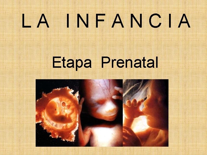 LA INFANCIA Etapa Prenatal LA INFANCIA Etapa Prenatal