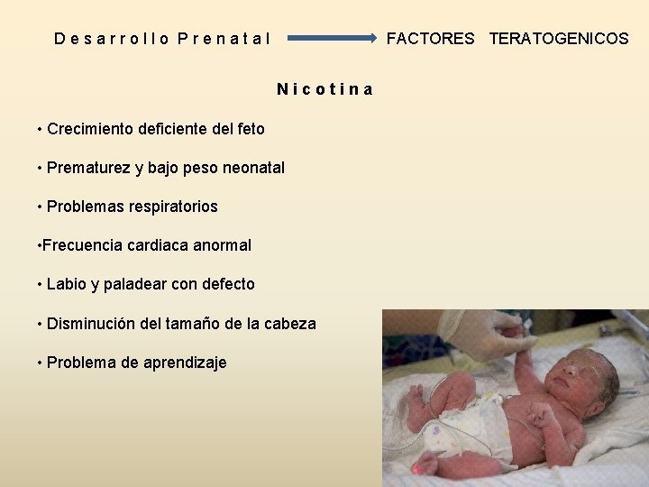 FACTORES TERATOGENICOS Desarrollo Prenatal Nicotina • Crecimiento deficiente del feto • Prematurez y bajo FACTORES TERATOGENICOS Desarrollo Prenatal Nicotina • Crecimiento deficiente del feto • Prematurez y bajo