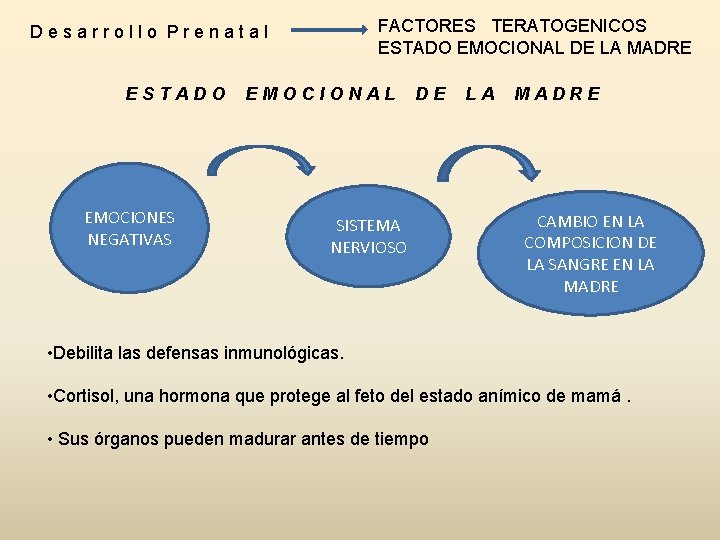FACTORES TERATOGENICOS ESTADO EMOCIONAL DE LA MADRE Desarrollo Prenatal ESTADO EMOCIONES NEGATIVAS EMOCIONAL DE FACTORES TERATOGENICOS ESTADO EMOCIONAL DE LA MADRE Desarrollo Prenatal ESTADO EMOCIONES NEGATIVAS EMOCIONAL DE