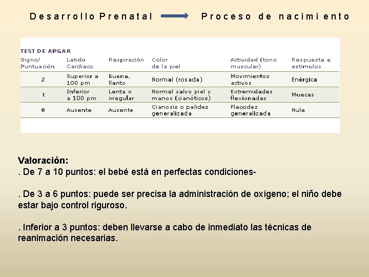 Desarrollo Prenatal Proceso de nacimi ento Valoración: . De 7 a 10 puntos: el Desarrollo Prenatal Proceso de nacimi ento Valoración: . De 7 a 10 puntos: el