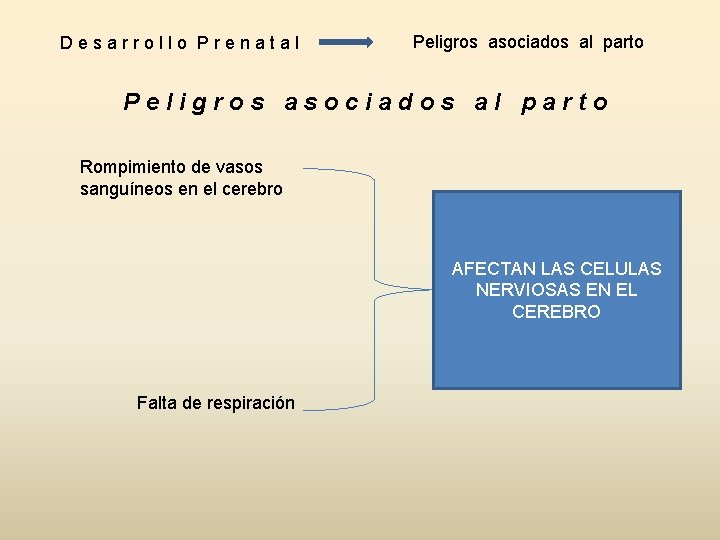 Desarrollo Prenatal Peligros asociados al parto Rompimiento de vasos sanguíneos en el cerebro AFECTAN Desarrollo Prenatal Peligros asociados al parto Rompimiento de vasos sanguíneos en el cerebro AFECTAN