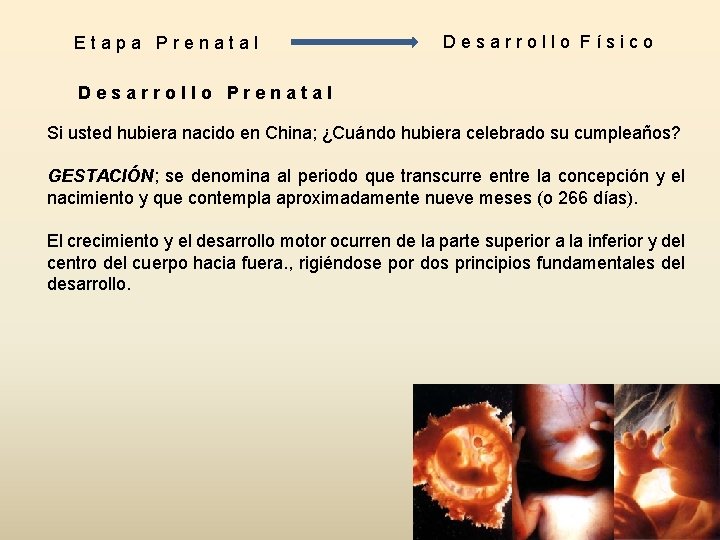 Etapa Prenatal Desarrollo Físico Desarrollo Prenatal Si usted hubiera nacido en China; ¿Cuándo hubiera Etapa Prenatal Desarrollo Físico Desarrollo Prenatal Si usted hubiera nacido en China; ¿Cuándo hubiera