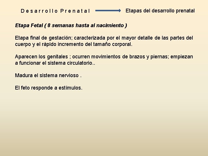 Desarrollo Prenatal Etapas del desarrollo prenatal Etapa Fetal ( 8 semanas hasta al nacimiento Desarrollo Prenatal Etapas del desarrollo prenatal Etapa Fetal ( 8 semanas hasta al nacimiento